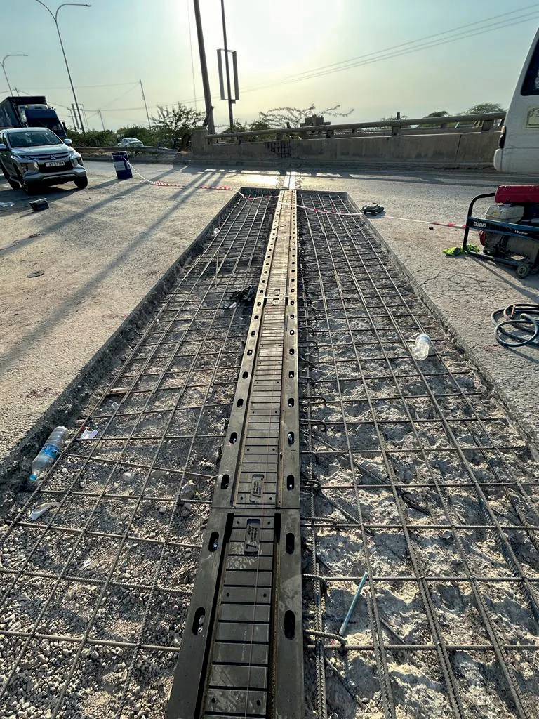 صيانة الطرق ومعالجة العبارات والمنشآت الخرسانية – طريق البحر الميت، الأردن