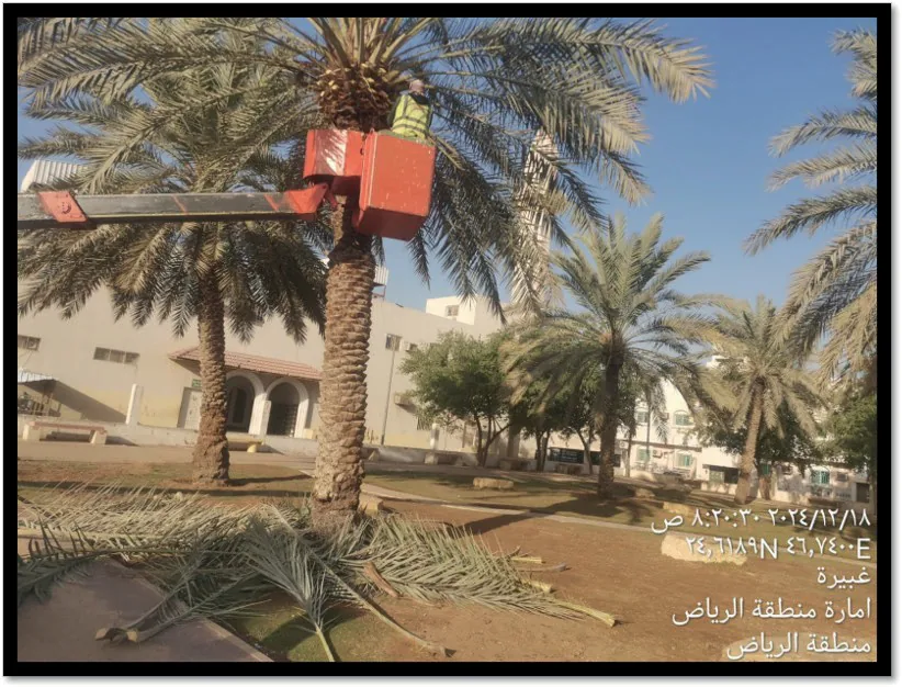 تشغيل وصيانة المزروعات والحدائق – بلدية البطحاء، الرياض