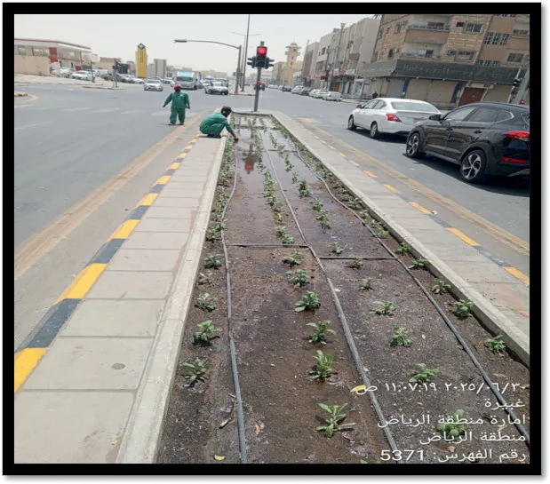 تشغيل وصيانة المزروعات والحدائق – بلدية البطحاء، الرياض