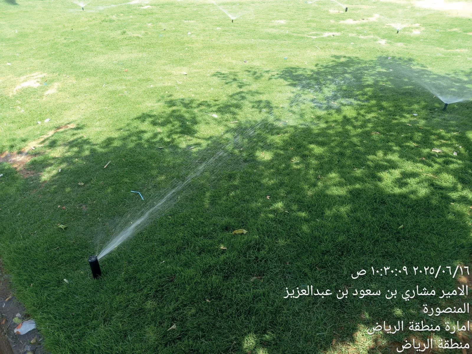 تشغيل وصيانة المزروعات والحدائق – بلدية البطحاء، الرياض