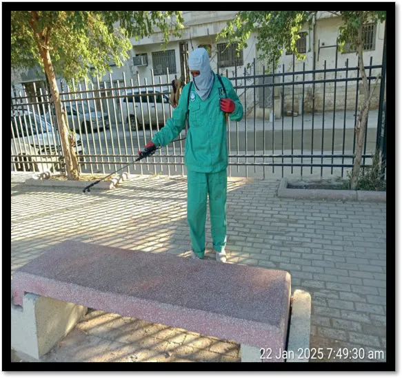 برامج مكافحة الآفات والحشرات والأمراض