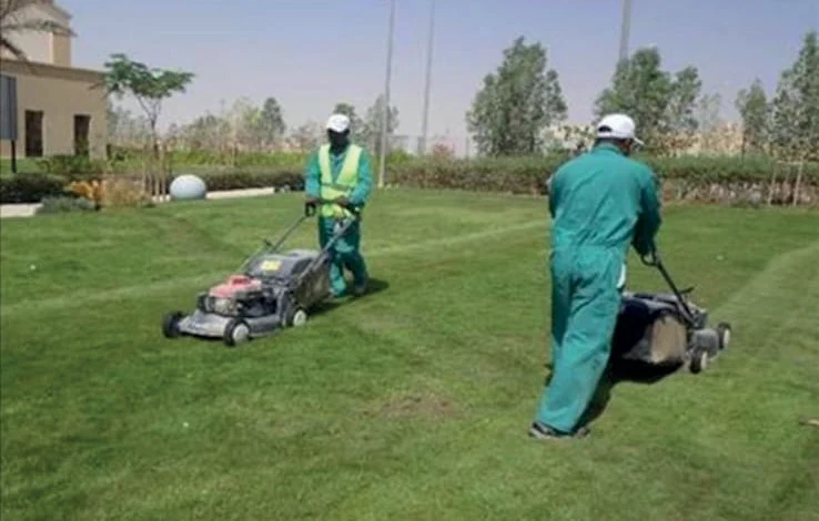 الأعمال الخارجية لمدينة الأمير سلطان الطبية العسكرية – الرياض