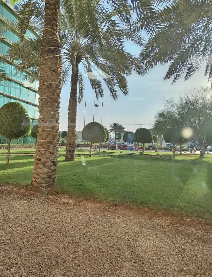 الأعمال الخارجية لمدينة الأمير سلطان الطبية العسكرية – الرياض