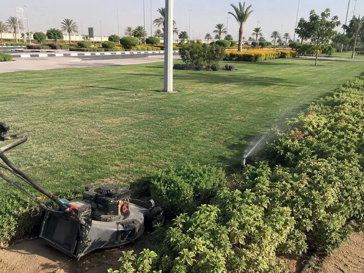 أعمال تشغيل وصيانة المزروعات والحدائق بنطاق بلدية السلي بمدينة الرياض